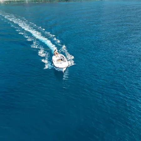 Appartement Pansion Palme