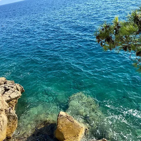 Appartement Pansion Palme