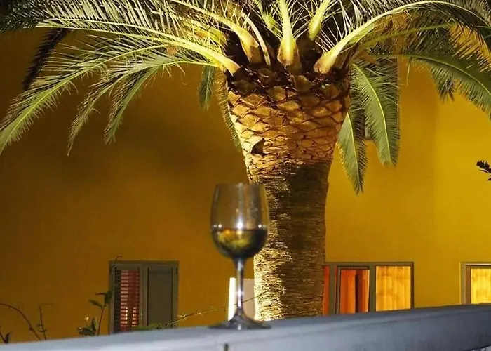 Pansion Palme